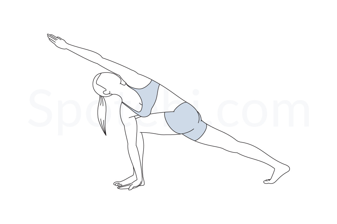 Revolved side angle pose (Parivrtta Parsvakonasana) instructions, illustration, and mindfulness practice. Learn about preparatory, complementary and follow-up poses, and discover all health benefits. https://www.spotebi.com/exercise-guide/revolved-side-angle-pose/