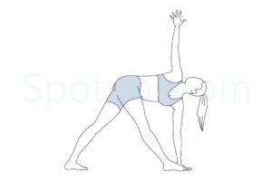 Revolved triangle pose (Parivrtta Trikonasana) instructions, illustration, and mindfulness practice. Learn about preparatory, complementary and follow-up poses, and discover all health benefits. https://www.spotebi.com/exercise-guide/revolved-triangle-pose/