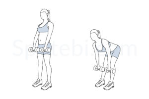 Romanian deadlift exercise guide with instructions, demonstration, calories burned and muscles worked. Learn proper form, discover all health benefits and choose a workout. https://www.spotebi.com/exercise-guide/romanian-deadlift/