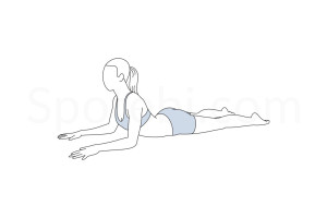 Sphinx pose (Salamba Bhujangasana) instructions, illustration and mindfulness practice. Learn about preparatory, complementary and follow-up poses, and discover all health benefits. https://www.spotebi.com/exercise-guide/sphinx-pose/