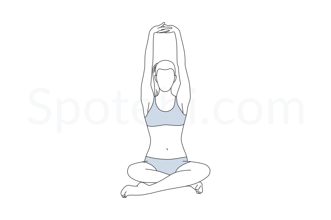Seated mountain pose (Parvatasana) instructions, illustration and mindfulness practice. Learn about preparatory, complementary and follow-up poses, and discover all health benefits. https://www.spotebi.com/exercise-guide/parvatasana/