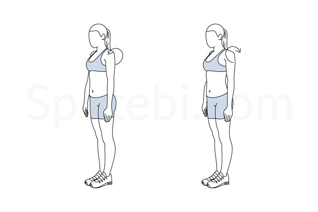 Shoulder rolls exercise guide with instructions, demonstration, calories burned and muscles worked. Learn proper form, discover all health benefits and choose a workout. https://www.spotebi.com/exercise-guide/shoulder-rolls/