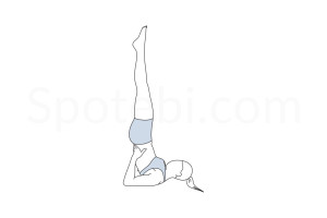 Shoulderstand pose (Sarvangasana) instructions, illustration and mindfulness practice. Learn about preparatory, complementary and follow-up poses, and discover all health benefits. https://www.spotebi.com/exercise-guide/shoulderstand-pose/