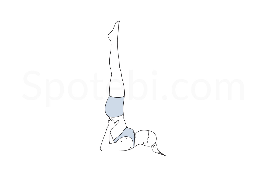 Shoulderstand pose (Sarvangasana) instructions, illustration and mindfulness practice. Learn about preparatory, complementary and follow-up poses, and discover all health benefits. https://www.spotebi.com/exercise-guide/shoulderstand-pose/