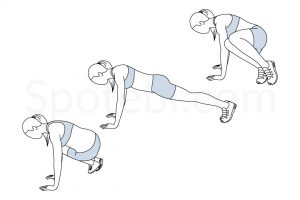 Ski abs exercise guide with instructions, demonstration, calories burned and muscles worked. Learn proper form, discover all health benefits and choose a workout. https://www.spotebi.com/exercise-guide/ski-abs/