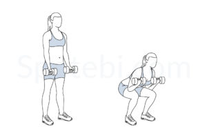Squat curl exercise guide with instructions, demonstration, calories burned and muscles worked. Learn proper form, discover all health benefits and choose a workout. https://www.spotebi.com/exercise-guide/squat-curl/