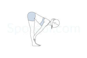 Standing half forward bend pose (Ardha Uttanasana) instructions, illustration and mindfulness practice. Learn about preparatory, complementary and follow-up poses, and discover all health benefits. https://www.spotebi.com/exercise-guide/ardha-uttanasana/