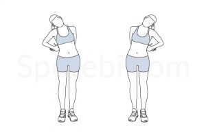 Standing neck stretch exercise guide with instructions, demonstration, calories burned and muscles worked. Learn proper form, discover all health benefits and choose a workout. https://www.spotebi.com/exercise-guide/standing-neck-stretch/