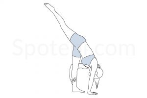 Standing split pose (Urdhva Prasarita Eka Padasana) instructions, illustration, and mindfulness practice. Learn about preparatory, complementary and follow-up poses, and discover all health benefits. https://www.spotebi.com/exercise-guide/standing-split-pose/
