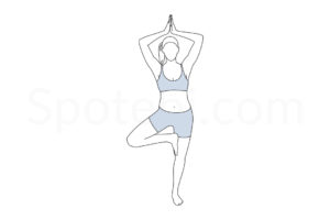Tree pose (Vrksasana) instructions, illustration and mindfulness practice. Learn about preparatory, complementary and follow-up poses, and discover all health benefits. https://www.spotebi.com/exercise-guide/tree-pose/