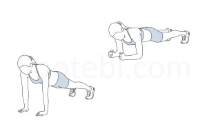 Up down plank exercise guide with instructions, demonstration, calories burned and muscles worked. Learn proper form, discover all health benefits and choose a workout. https://www.spotebi.com/exercise-guide/up-down-plank/