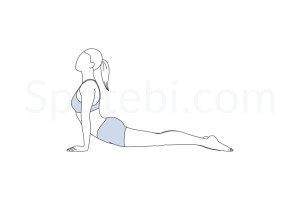Upward facing dog pose (Urdhva Mukha Svanasana) instructions, illustration and mindfulness practice. Learn about preparatory, complementary and follow-up poses, and discover all health benefits. https://www.spotebi.com/exercise-guide/upward-facing-dog-pose/