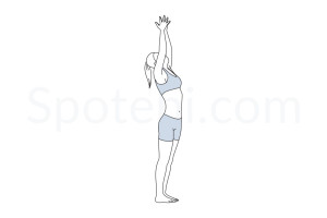 Upward salute pose (Urdhva Hastasana) instructions, illustration and mindfulness practice. Learn about preparatory, complementary and follow-up poses, and discover all health benefits. https://www.spotebi.com/exercise-guide/urdhva-hastasana/