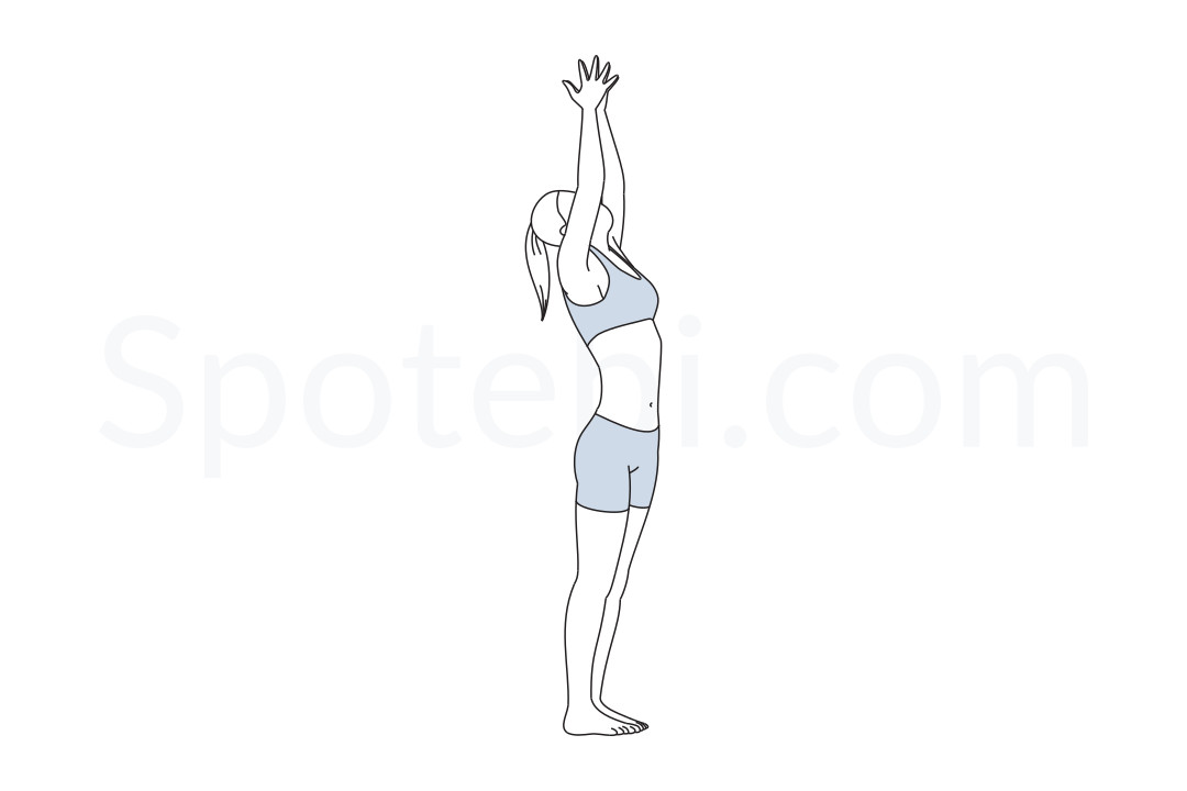 Upward salute pose (Urdhva Hastasana) instructions, illustration and mindfulness practice. Learn about preparatory, complementary and follow-up poses, and discover all health benefits. https://www.spotebi.com/exercise-guide/urdhva-hastasana/