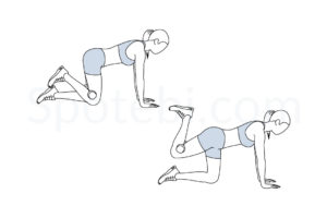 Weighted donkey kicks exercise guide with instructions, demonstration, calories burned and muscles worked. Learn proper form, discover all health benefits and choose a workout. https://www.spotebi.com/exercise-guide/weighted-donkey-kicks/