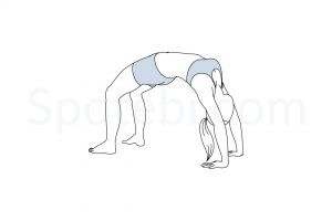 Wheel pose (Urdhva Dhanurasana) instructions, illustration, and mindfulness practice. Learn about preparatory, complementary and follow-up poses, and discover all health benefits. https://www.spotebi.com/exercise-guide/wheel-pose/