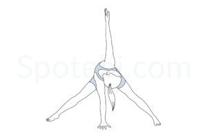 Wide legged forward bend twist pose (Parivrtta Prasarita Padottanasana) instructions, illustration, and mindfulness practice. Learn about preparatory, complementary and follow-up poses, and discover all health benefits. https://www.spotebi.com/exercise-guide/wide-legged-forward-bend-twist-pose/