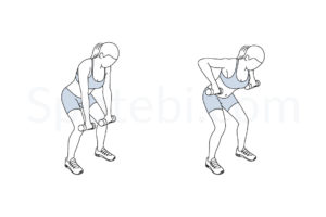 Wide row exercise guide with instructions, demonstration, calories burned and muscles worked. Learn proper form, discover all health benefits and choose a workout. https://www.spotebi.com/exercise-guide/wide-row/